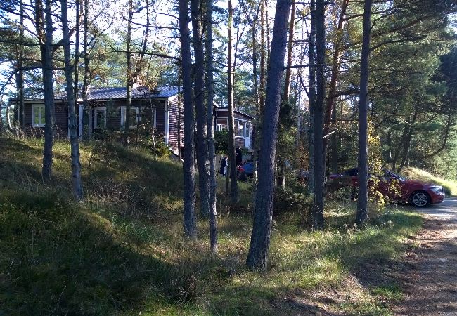 Apartment in Borrby - Holiday apartment near the sand dunes of the Baltic Sea in Österlen Apartment in Borrby - Holiday apartment near the sand dunes of the Baltic Sea in Österlen