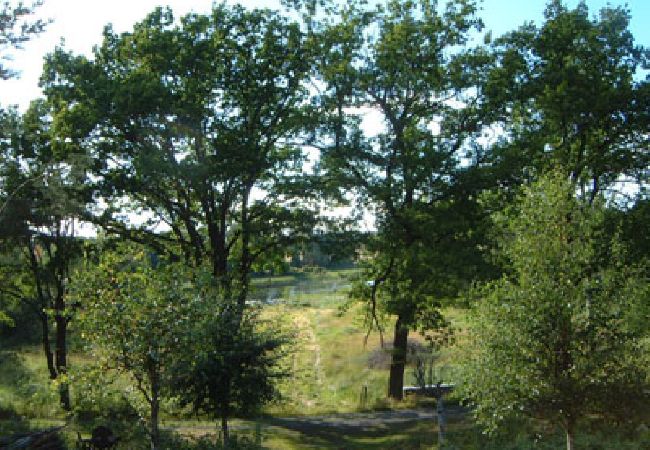 House in Säffle - A natural pearl with a boat and sauna on Lake Vänern