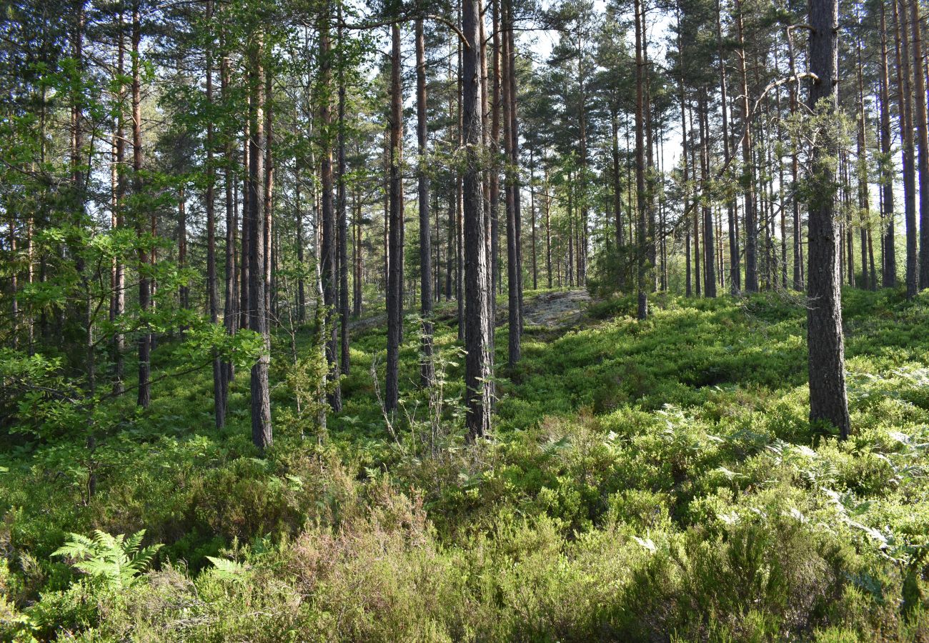 House in Vena - Cozy holiday home not far from Astrid Lindgren's world