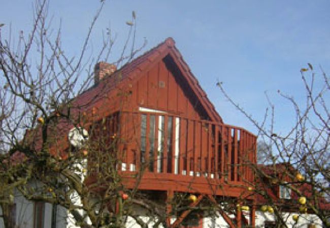 House in Köpingebro - Two holiday homes in Österlen 800 meters from the sandy beach