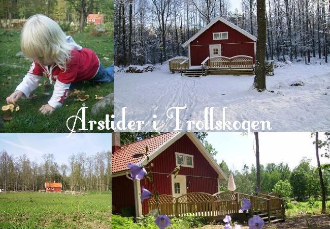 House in Oskarshamn - Småland vacation in the forest between lakes and the Baltic Sea coast House in Oskarshamn - Småland vacation in the forest between lakes and the Baltic Sea coast