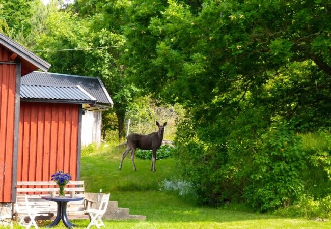 House in Stillingsön - Charming holiday home on Orust on the west coast of Sweden