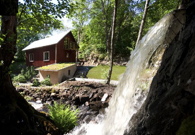 House in Alingsås - Living and fishing in wonderful nature!