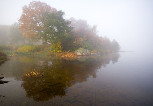 House in Alingsås - Living and fishing in wonderful nature!