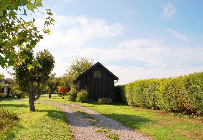 House in Ydre - Landside cottage with horse riding offer!