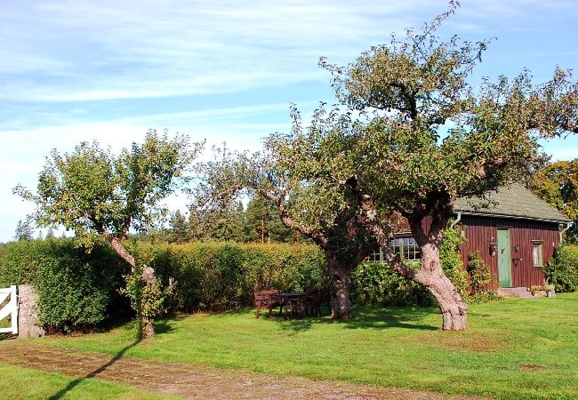 House in Ydre - Landside cottage with horse riding offer! House in Ydre - Landside cottage with horse riding offer!