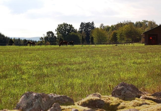 House in Ydre - Landside cottage with horse riding offer! House in Ydre - Landside cottage with horse riding offer!