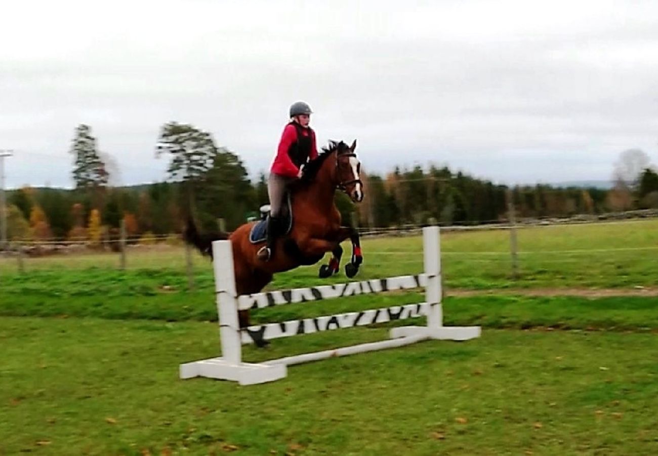 House in Ydre - Landside cottage with horse riding offer!