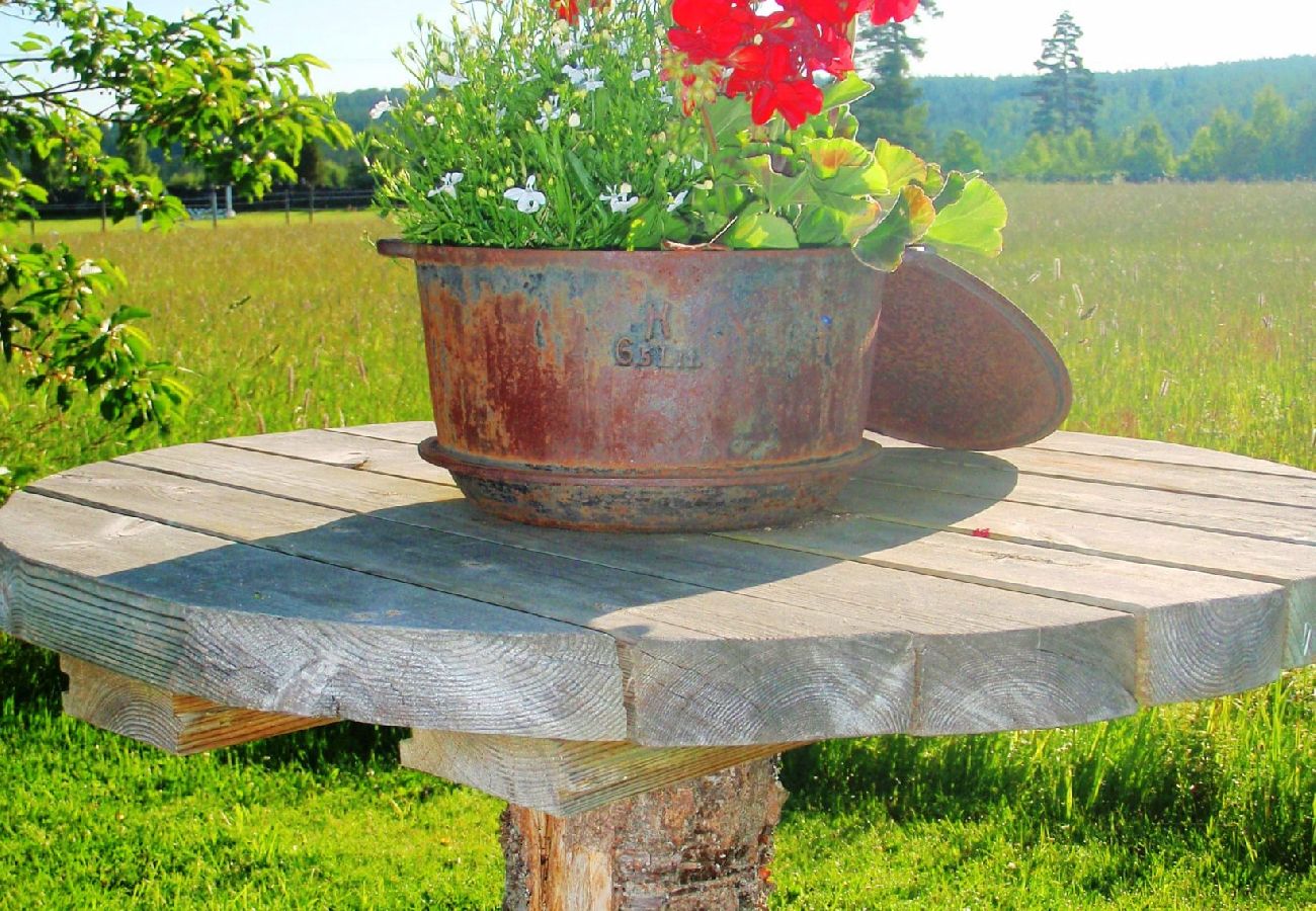 House in Ydre - Landside cottage with horse riding offer!