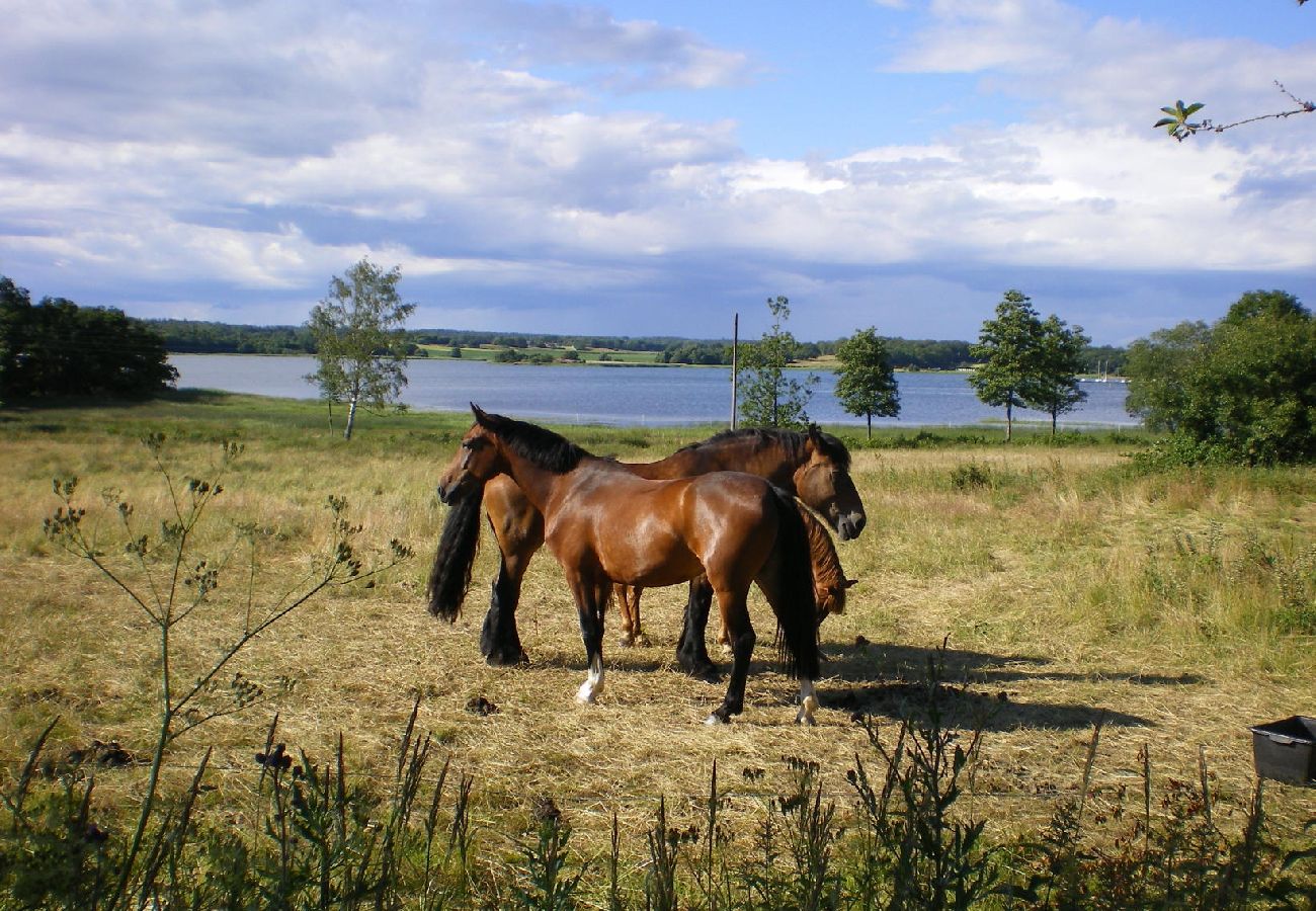 House in Jämjö - Vacation with sea view and private beach