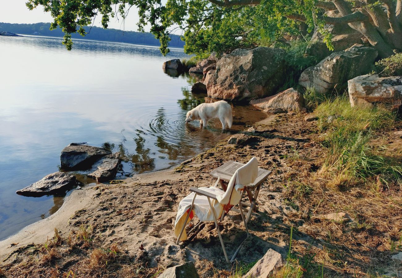 House in Jämjö - Vacation with sea view and private beach