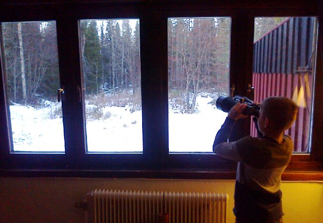 House in Lycksele - Carlsson House in Lycksele - Carlsson