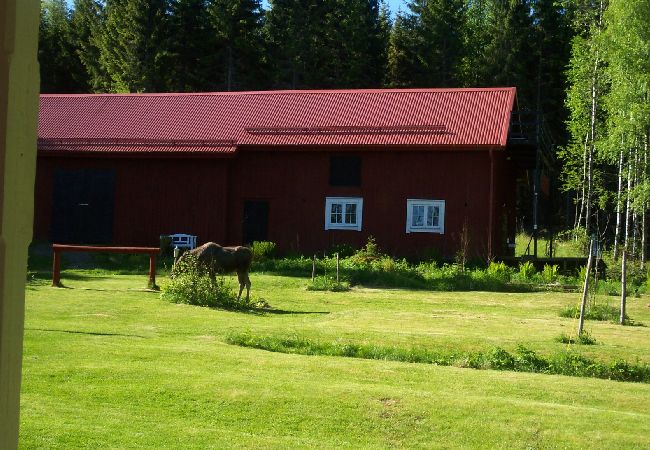  in Hagfors - Idyllic forest farm with a secluded location in the wilderness