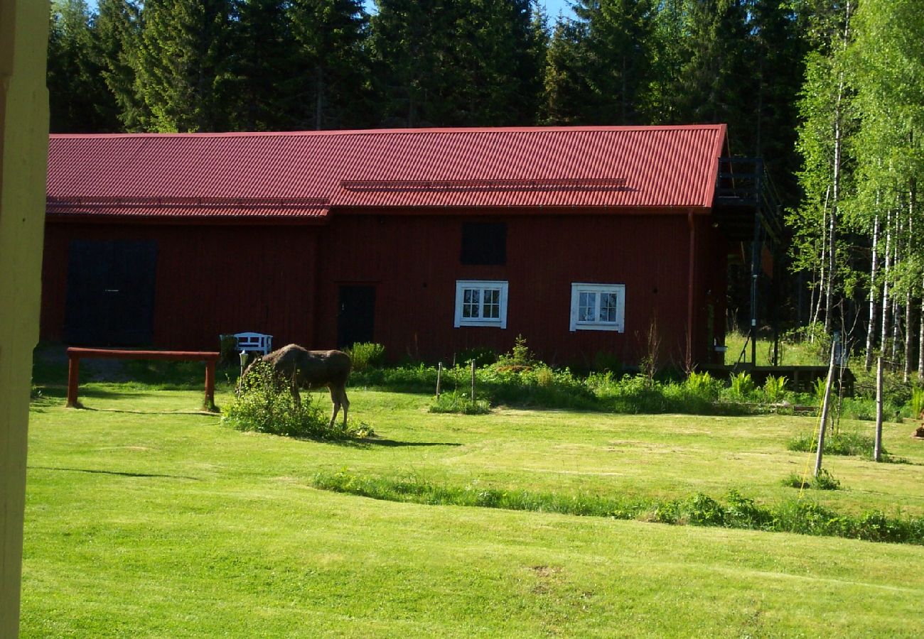 House in Hagfors - Idyllic forest farm with a secluded location in the wilderness