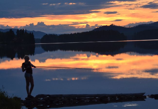 House in Mora - Holiday home directly at the lake and Vasaloppet House in Mora - Holiday home directly at the lake and Vasaloppet