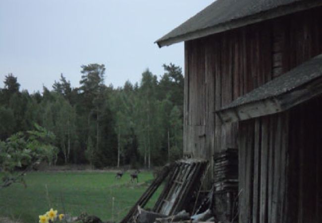 House in Kristinehamn - Holidays surrounded between forest and pastures - 500 meters from Lake Vänern House in Kristinehamn - Holidays surrounded between forest and pastures - 500 meters from Lake Vänern