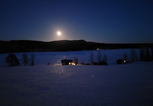 House in Gällö - Holiday home with lake view in Jämtland