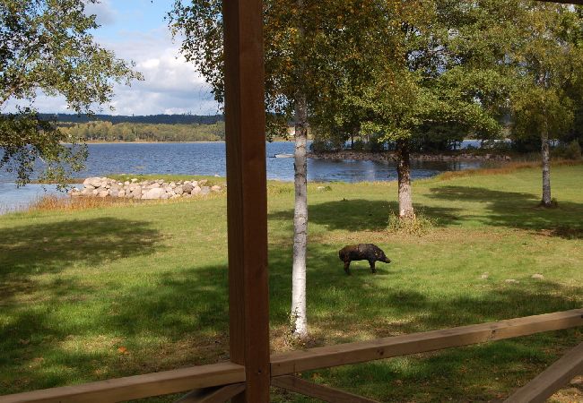 House in Vegby - Holiday home with exclusive location in its own bay in the lake Åsunden