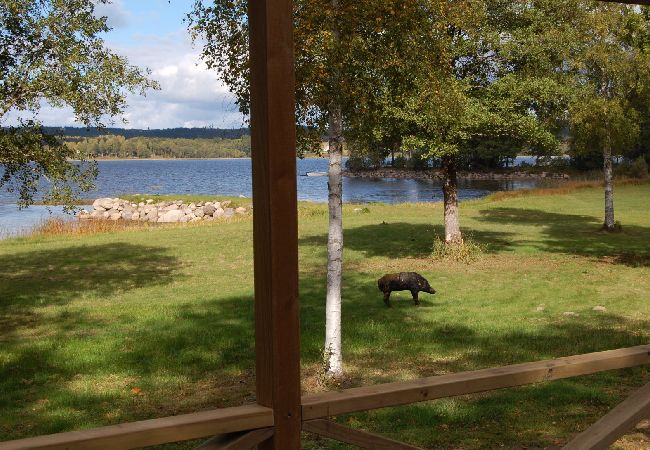 House in Vegby - Holiday home with exclusive location in its own bay in the lake Åsunden House in Vegby - Holiday home with exclusive location in its own bay in the lake Åsunden