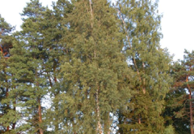 House in Grimstorp - In the heart of the Småland Highlands by the lake House in Grimstorp - In the heart of the Småland Highlands by the lake
