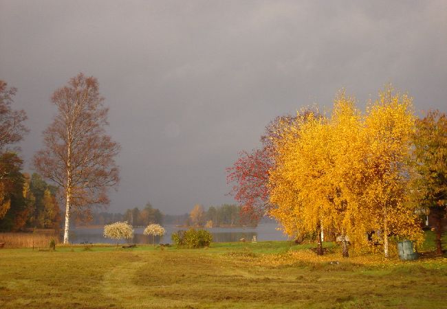 House in Ryd - Holiday in Småland by the lake House in Ryd - Holiday in Småland by the lake