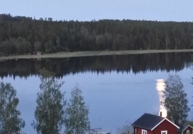 House in Gällö - Wonderful holiday home right on the lake with sauna, WiFi and wilderness pool