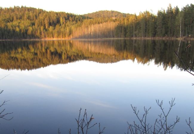 House in Dals Långed - Architecturally remarkable holiday home at a forest lake!