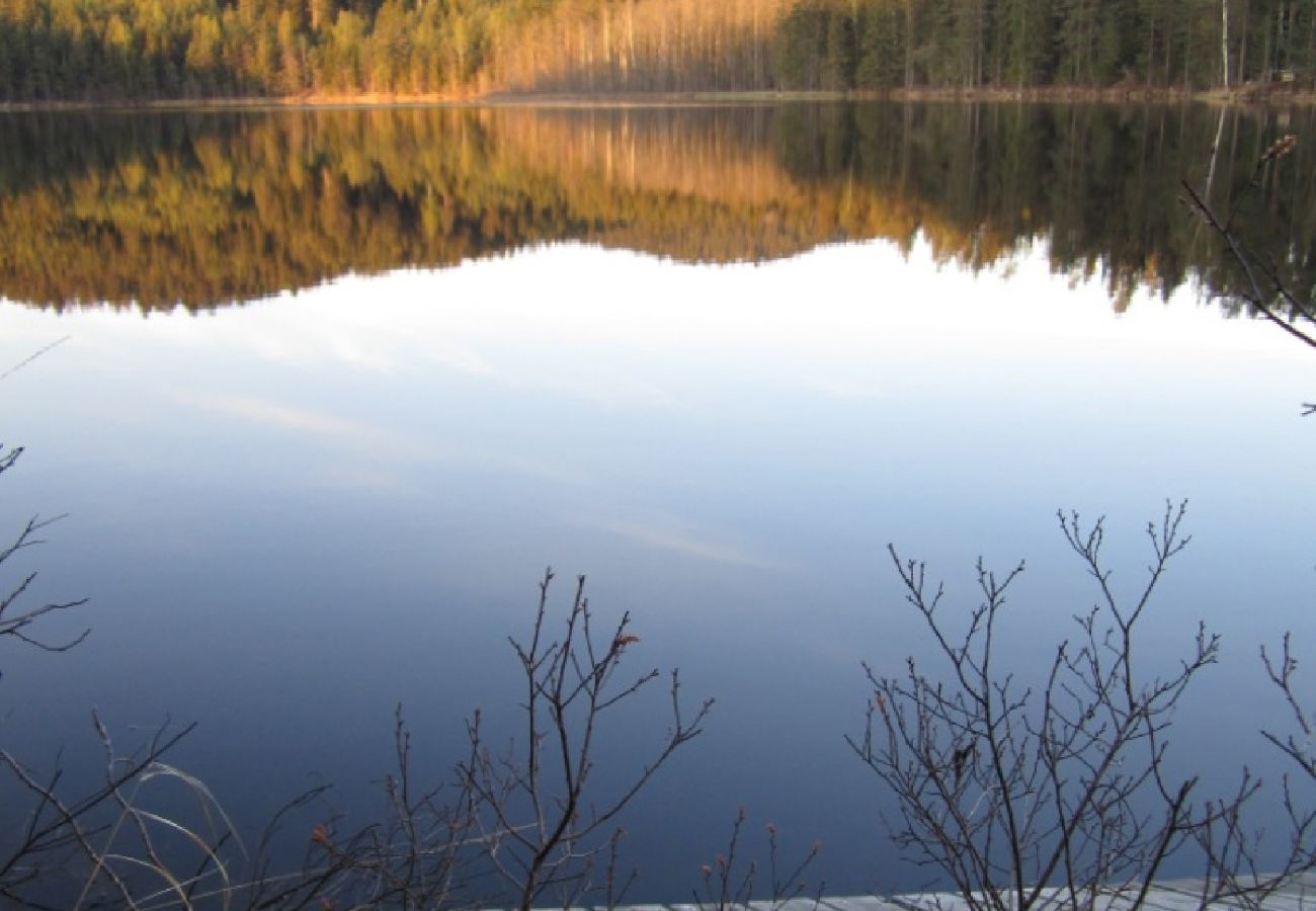 House in Dals Långed - Architecturally remarkable holiday home at a forest lake!