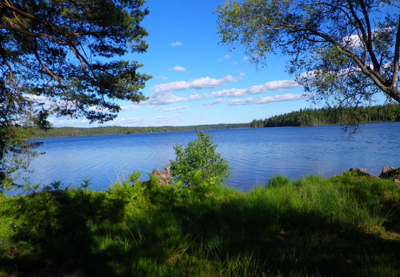 House in Ambjörnarp - Holidays not far from the lake with the possibility of fishing and boat