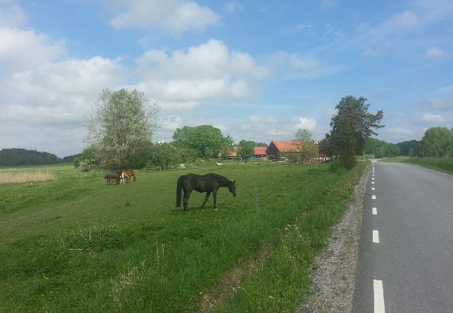 House in Sköldinge - Flendiverna