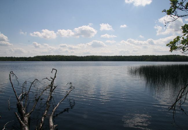 House in Forsheda - Lonely cabin in Småland directly on the lake House in Forsheda - Lonely cabin in Småland directly on the lake