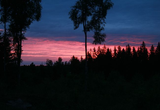 House in Forsheda - Lonely cabin in Småland directly on the lake House in Forsheda - Lonely cabin in Småland directly on the lake
