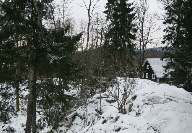 House in Forsheda - Lonely cabin in Småland directly on the lake House in Forsheda - Lonely cabin in Småland directly on the lake