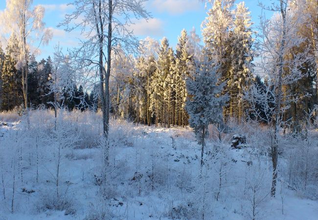 House in Forsheda - Lonely cabin in Småland directly on the lake House in Forsheda - Lonely cabin in Småland directly on the lake