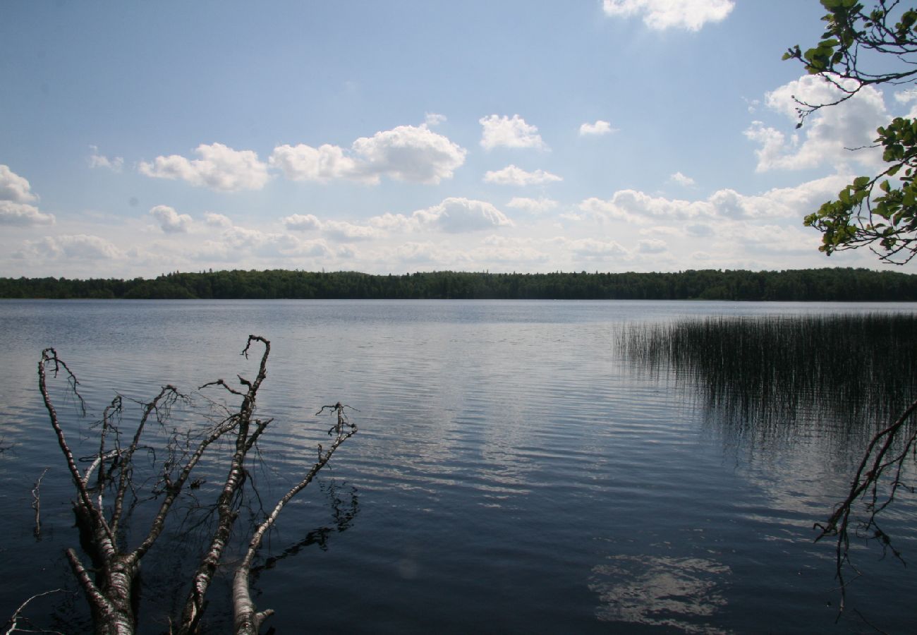 House in Forsheda - Lonely cabin in Småland directly on the lake