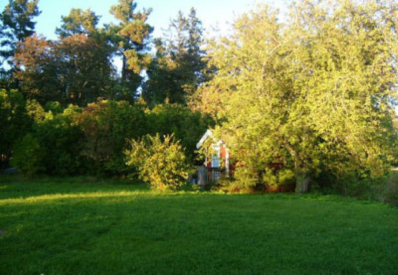 House in Bergshamra - Older cottage by the lake with a boat in Roslagen