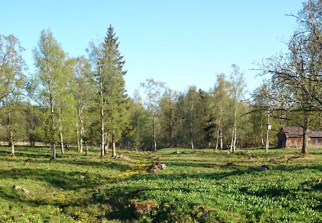 House in Lönneberga - Holiday home like in the world of Astrid Lindgren House in Lönneberga - Holiday home like in the world of Astrid Lindgren