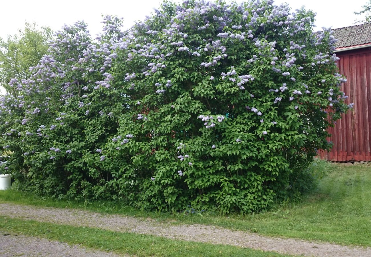 House in Lönneberga - Holiday home like in the world of Astrid Lindgren