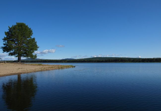 House in Gargnäs - Holiday home at one of the best salmon fishing rivers of Sweden