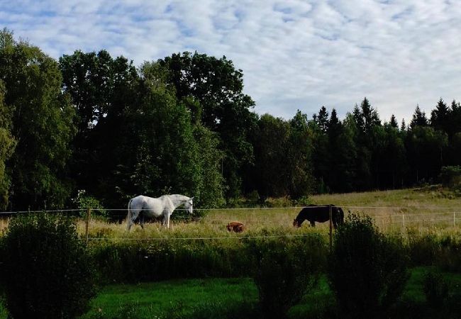 House in Tvärred - Holidays at the lake in southern Sweden with a boat