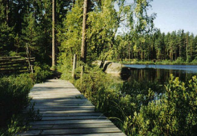 House in Älmeboda - Småland holiday surrounded by forest and lakes