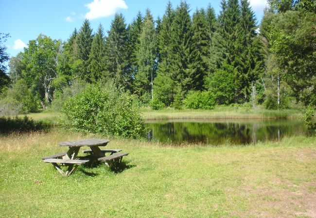 House in Alstermo - Cosy renovated holiday home in Småland House in Alstermo - Cosy renovated holiday home in Småland