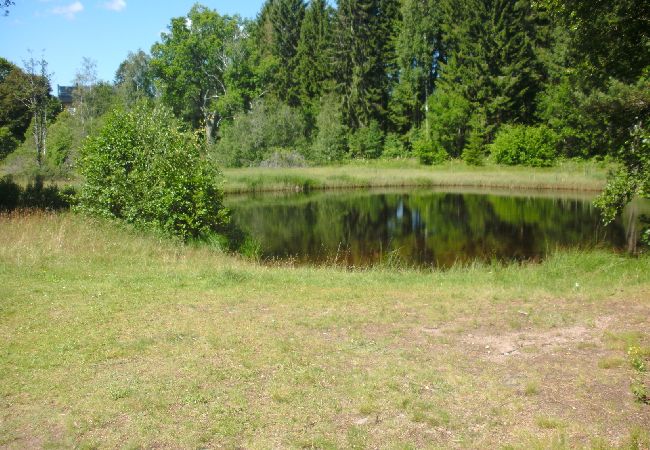 House in Alstermo - Cosy renovated holiday home in Småland