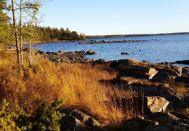 House in Norrhult - This picture-perfect holiday home located in the heart of Småland House in Norrhult - This picture-perfect holiday home located in the heart of Småland