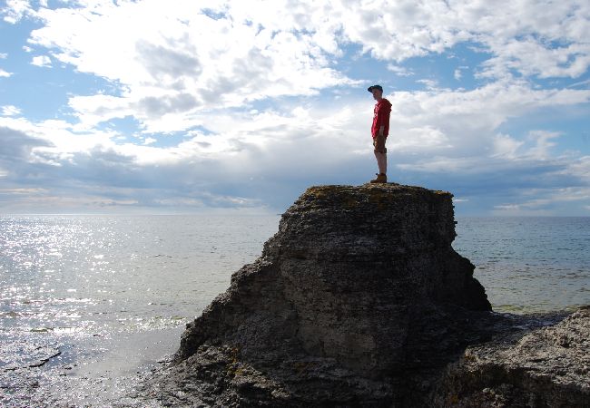 House in Norrhult - This picture-perfect holiday home located in the heart of Småland House in Norrhult - This picture-perfect holiday home located in the heart of Småland