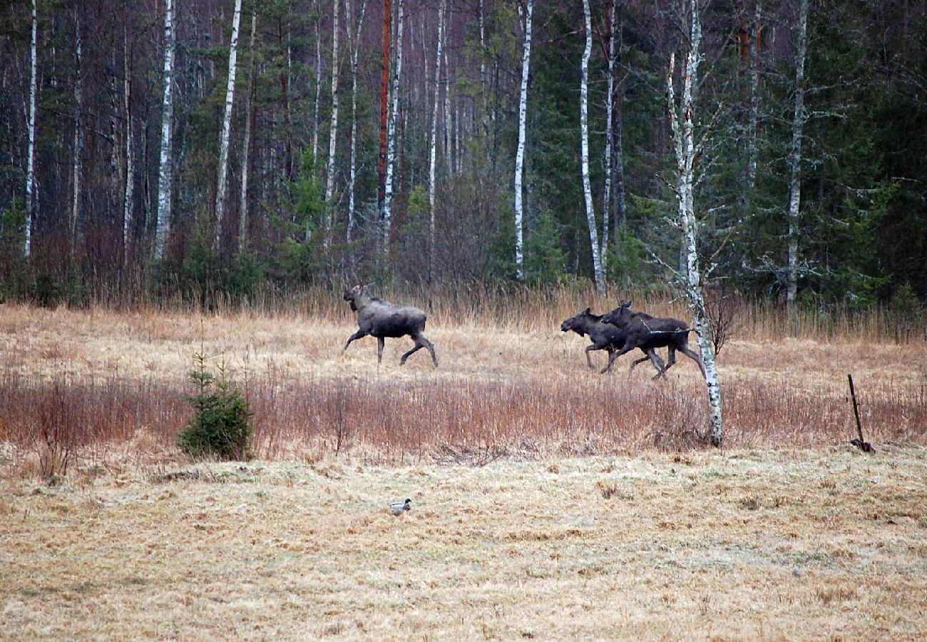 House in Norrhult - This picture-perfect holiday home located in the heart of Småland
