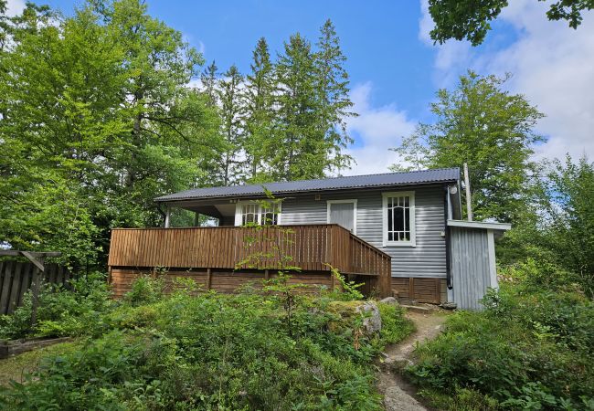 House in Hallaryd - Holiday home at the lake Örsjön with free Wi-Fi