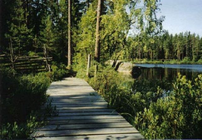 House in Älmeboda - Holiday cottage in the forrest