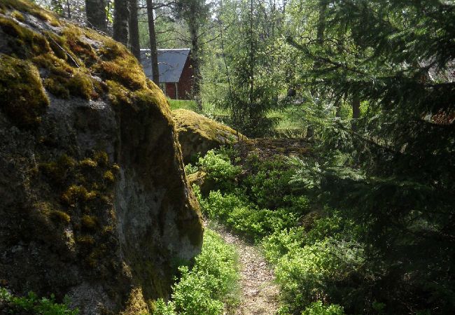 House in Älmeboda - Holiday cottage in the forrest