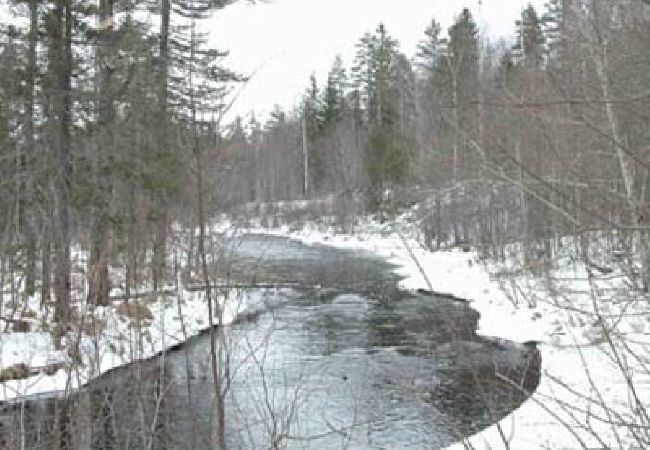 House in Nordmarkshyttan - Quiet, close to nature accommodation in Värmland House in Nordmarkshyttan - Quiet, close to nature accommodation in Värmland